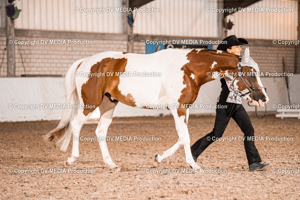 ZH100037 | dv-media-shop - Realisiert mit Pictrs.com