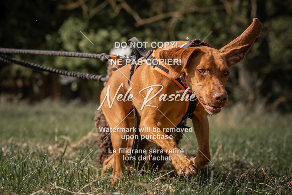 nelerasche_Do-spät_173 | nelerasche