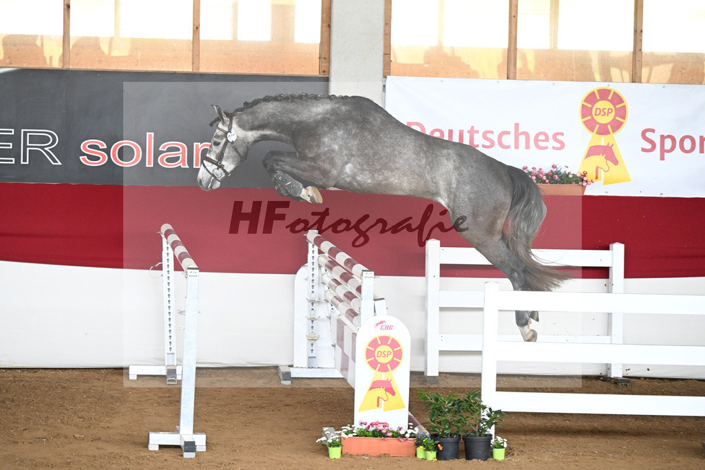 Kat-Nr. 45 Ascan v. Asca_Hess Mueller_9240880 | hf-fotografie - Realizzato con Pictrs.com