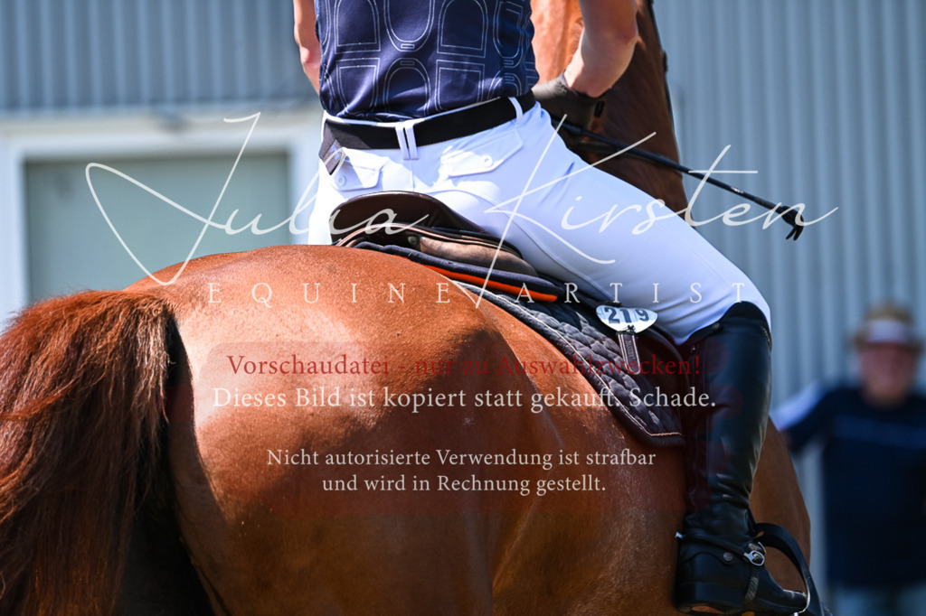DSC_0121 | Pferde- und Turnierfotografie in Westsachsen. Pferdeportraits, Auftragszeichnungen und intuitive Kunst.