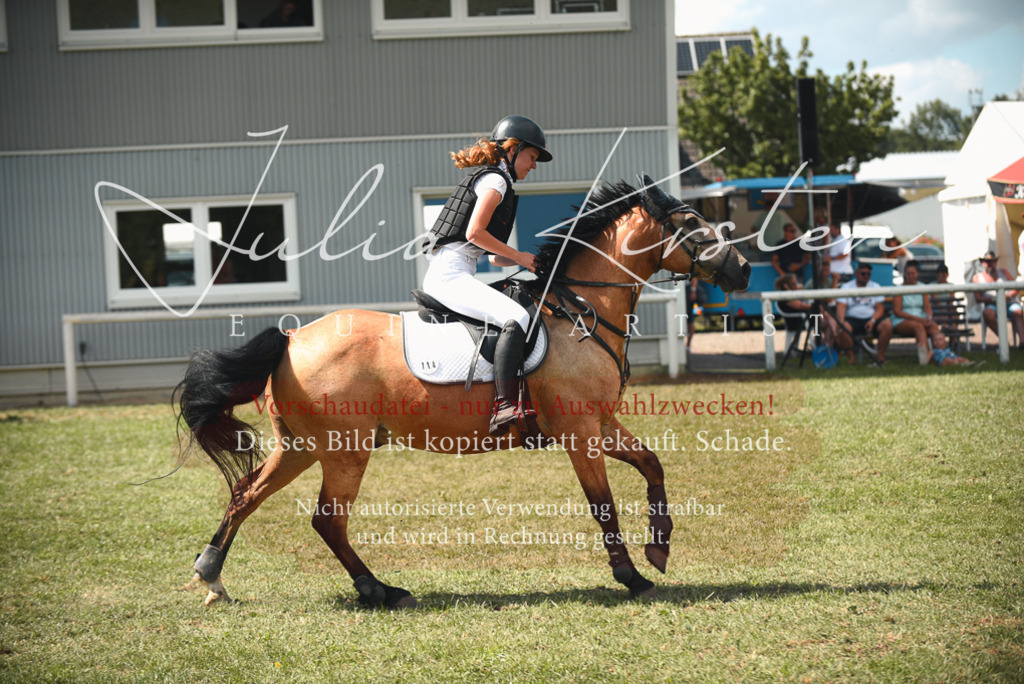 DSC_6784 | Pferde- und Turnierfotografie in Westsachsen. Pferdeportraits, Auftragszeichnungen und intuitive Kunst.
