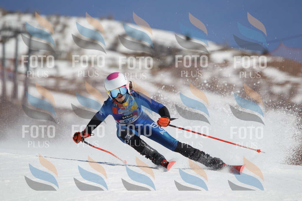 _U3G9751 | holidayphoto