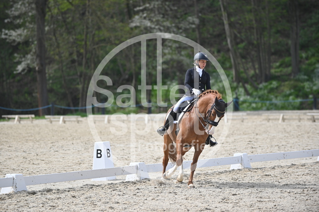 DSC_4608 | sattelsport - Realisiert mit Pictrs.com