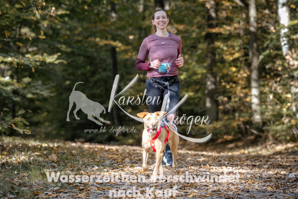 1240_ZZ95845 | kk-dogfotos