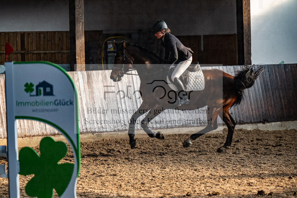 20240308-DOS_2592 | Entdecke hochwertige Reitturnierfotos von Foto Oger. Professionell, emotional und authentisch – jetzt Lieblingsmomente im Shop bestellen.Deutschlandweite Turnierfotografie. - Realisiert mit Pictrs.com