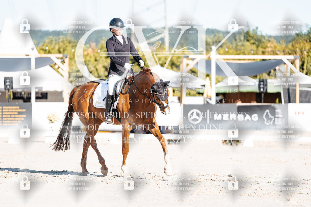 CK907221 | Turnierfotografie Pferdefotografie Trier Rheinland-Pfalz Pferdesport Reitsport Tierfotografie Sportfotografie Pferdevideo Pferdevideografie Equestrianvideography equestrianphotography  - Realisiert mit Pictrs.com
