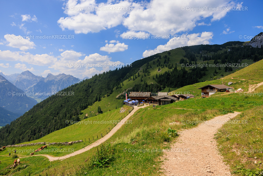 _J3A8269 | medienkrizzler - Realisiert mit Pictrs.com