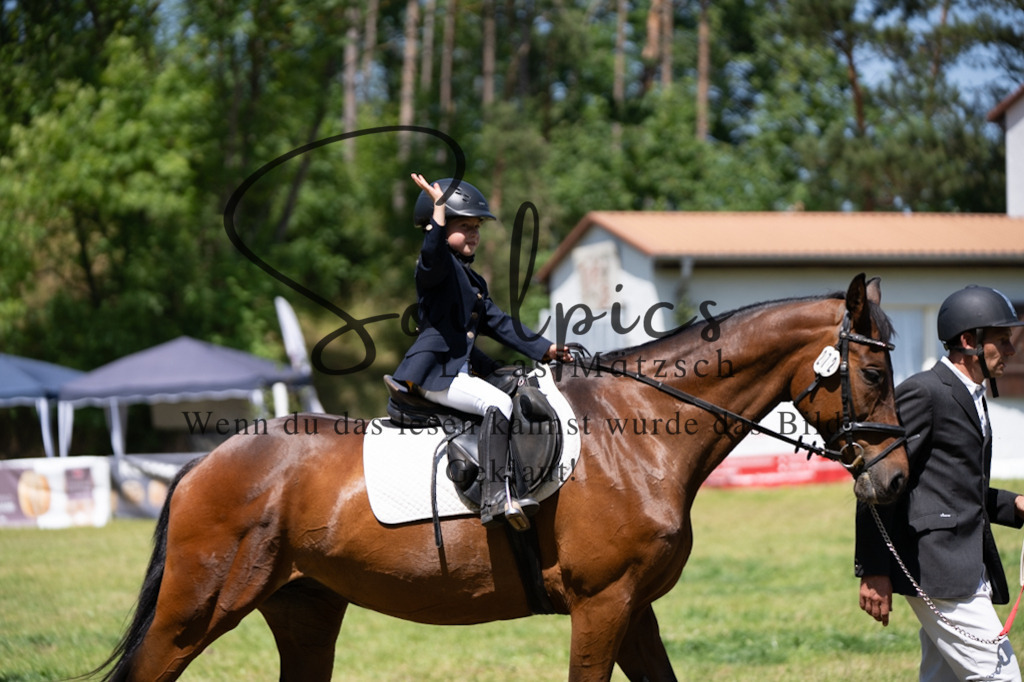 A7V06265 | Turnier/Reitfotograf