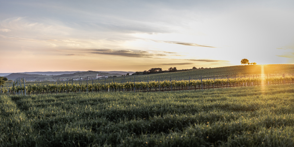 Roman-Huditsch-Fotografie_076 | Exklusiver Webshop für hochwertige Landschaftsfotos aus Kärnten, Österreich und der ganzen Welt.
Landschaftsfotos auf Leinwand, Acrylglas, Aludibond
Wandbilder online kaufen, fürs Zuhause oder als Geschenk zum Geburtstag, Weihnachten und mehr - Realisiert mit Pictrs.com
