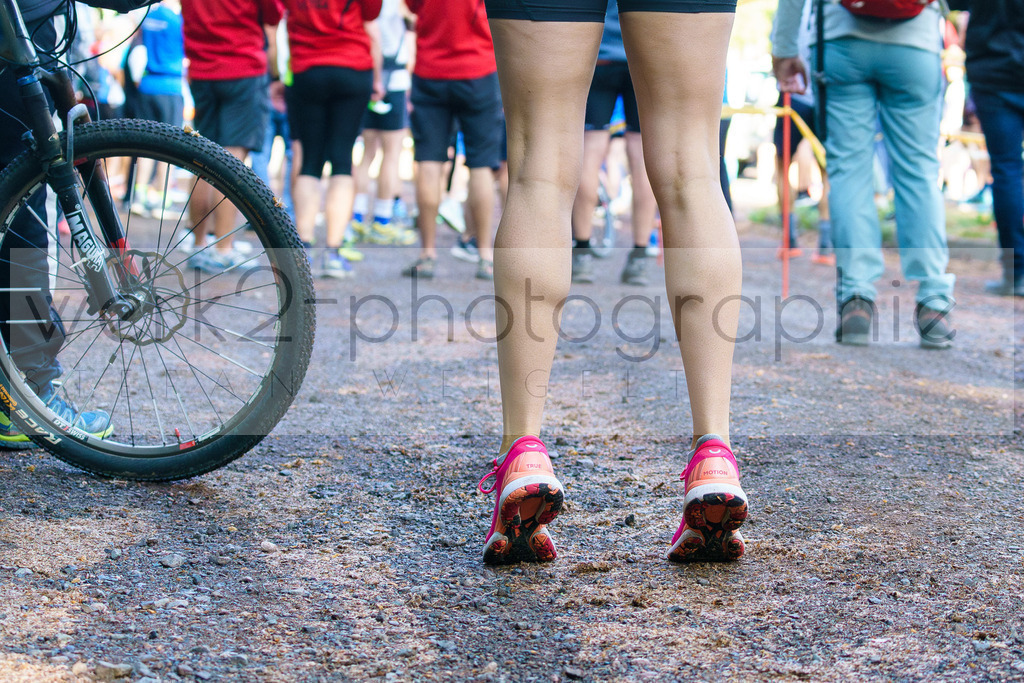 Rennsteig-Staffellauf 2023 | Rennsteig-Staffellauf - Hörschel bis Blankenstein - 17. Juni 2023