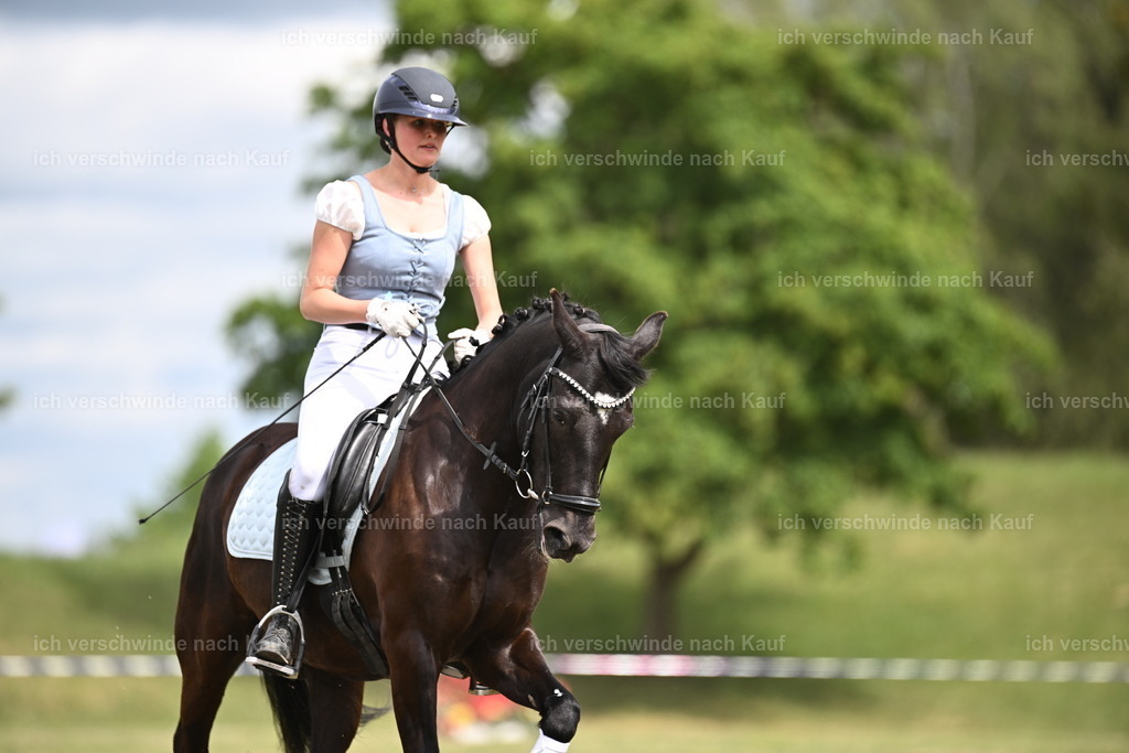 PI26_Show_Sara_Landvogt_226_0053.JPG | working equitationturnier fotograf videograf stoibphotography marixx film working equitation deutschland reitsport turnierfotografie eventfotografie equestrian events