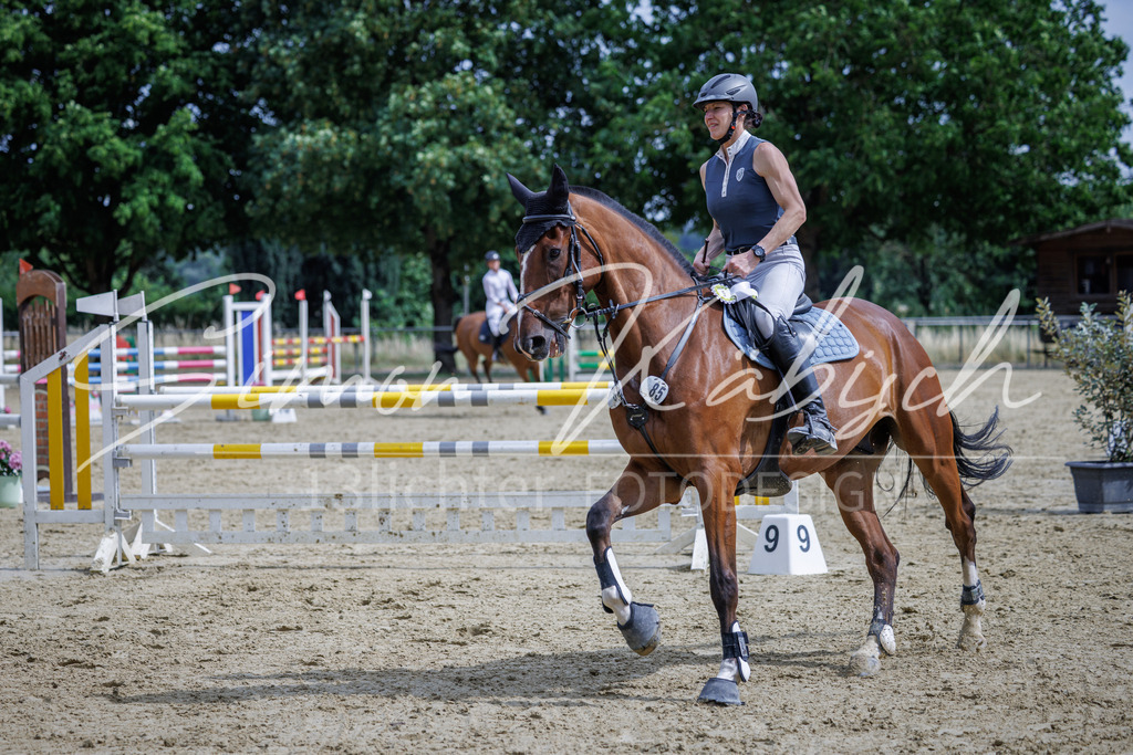 20260705-_3LI6850 | Tierfotografie Pferde, Hunde, Katzen, Haustiere.
Turnierfotografie Reitturniere, Reiten, Springreiten, Dressur in Hanau, dem Main-Kinzig-Kreis und dem Rhein-Main- Gebiet um Frankfurt