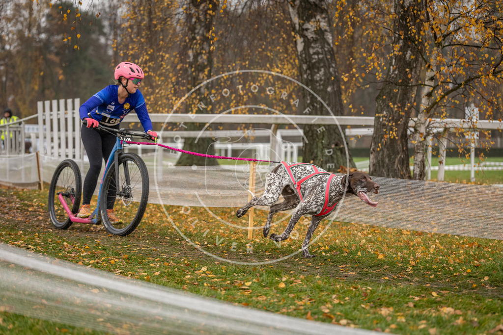 CaniXpix_DV3A8196 | Hundefotografie, Tierfotograf, Pfotenfotografie, Fotoshooting Hund, Hunde Portrait, Hundesport, Hundeportraits, Heideshooting, Hunde, Sportfotograf, Hundefotograf, Turnierhundsport, THS,  - Realisiert mit Pictrs.com