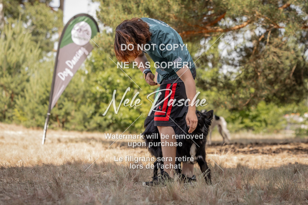 nelerasche_soDD2_316 | nelerasche