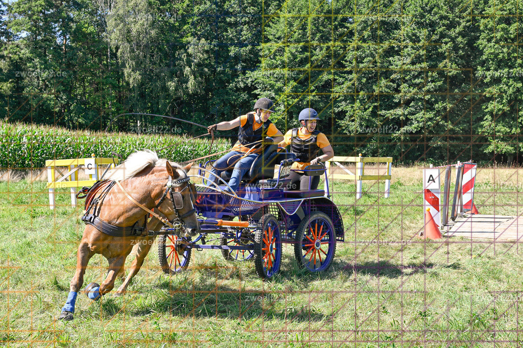 30 Jahre RFV Pulsnitz e.V., Pulsnitz am 09.08.2026 | 30Jahre Reit- und Fahrverein Pulsnitz e.V., Pulsnitz am 08.08.2026Zur 28. breitensportlichen Veranstaltung des RFV Pulsnitz e.V. fanden verschiedene Wettbewerbe in nahezu allen Disziplinen des Pferdesport statt.- Geländefahr-Wettbewerb - Realisiert mit Pictrs.com