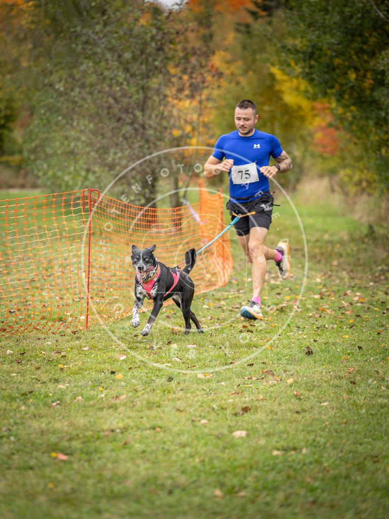 Pfotenfotografie_DV3A2928 | Hundefotografie, Tierfotograf, Pfotenfotografie, Fotoshooting Hund, Hunde Portrait, Hundesport, Hundeportraits, Heideshooting, Hunde, Sportfotograf, Hundefotograf, Turnierhundsport, THS,  - Realisiert mit Pictrs.com