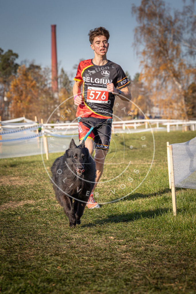 CaniXpix_0L8A8137 | Hundefotografie, Tierfotograf, Pfotenfotografie, Fotoshooting Hund, Hunde Portrait, Hundesport, Hundeportraits, Heideshooting, Hunde, Sportfotograf, Hundefotograf, Turnierhundsport, THS,  - Realisiert mit Pictrs.com