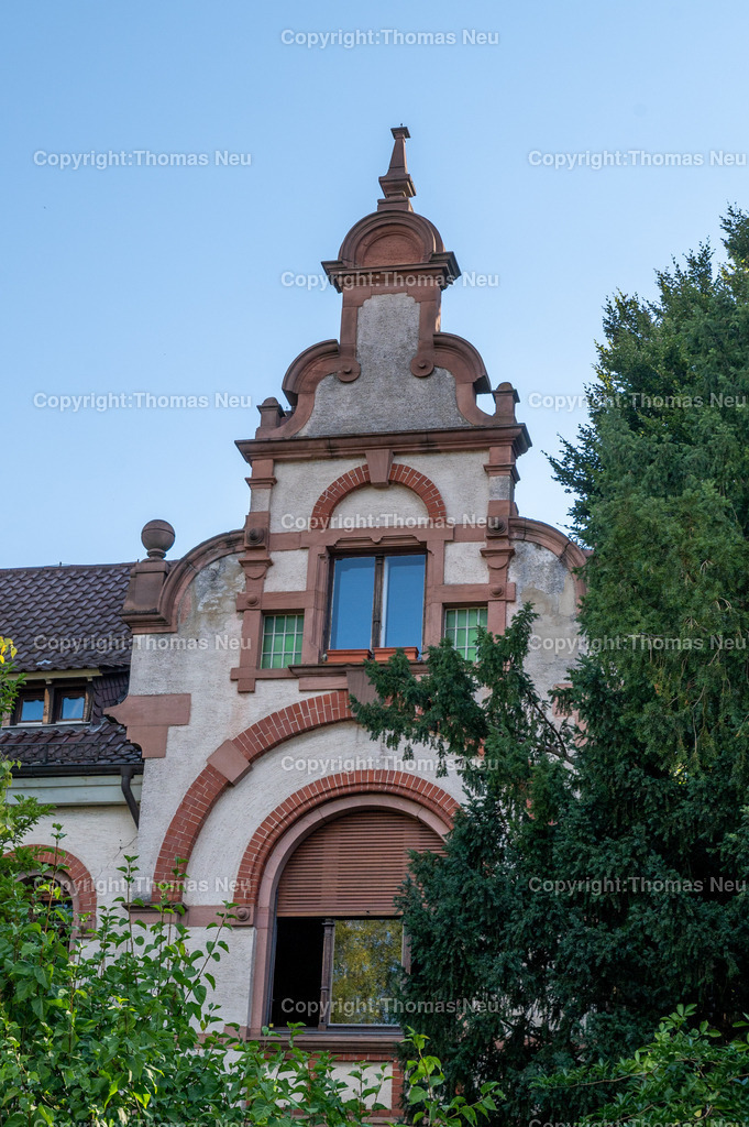 DSC_0678 | smb, Stadtmagazin 67, Metzendorfrundgang, Heidelberger Straße 44, , Bild: Thomas Neu