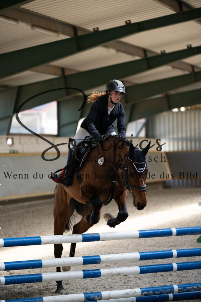 A7V06851 | Pferdefotograf