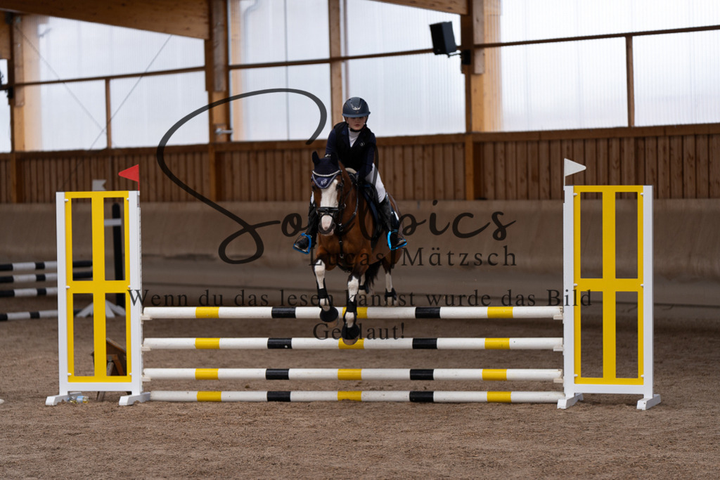 A7507412 | Pferdefotograf