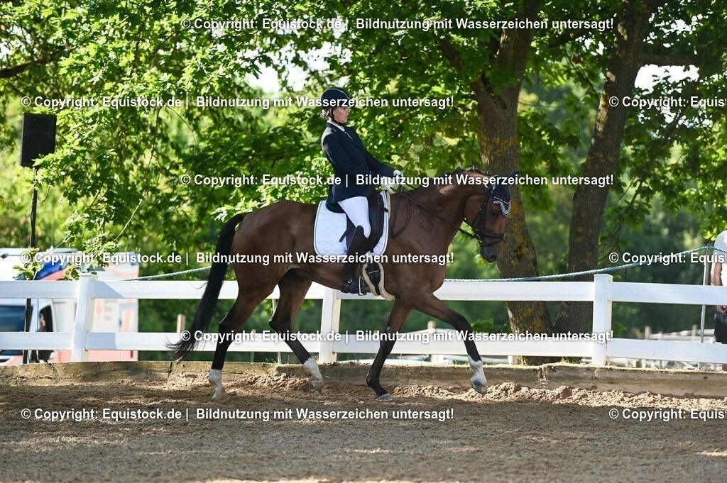20230715_06_Dressurpferdeprfg. Kl.A_0197 | equistock