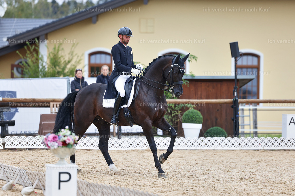 12-047-DRESSUR  S___  -StoibPH-5329 | working equitationturnier fotograf videograf stoibphotography marixx film working equitation deutschland reitsport turnierfotografie eventfotografie equestrian events