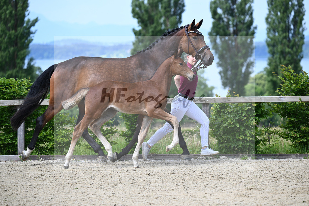 Dinken x Balou du Rouet_HF_Gossner_19240027 | hf-fotografie - Realizzato con Pictrs.com