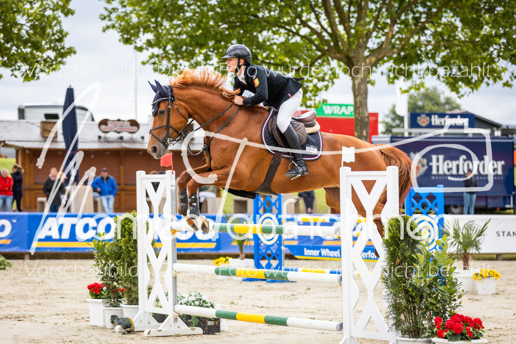 BHO-2PhSpr-M-5-2272 | MomenTaufnahmen Pferdesportfotos