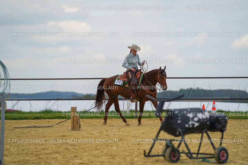 DSC06888 | Pferdegrafie