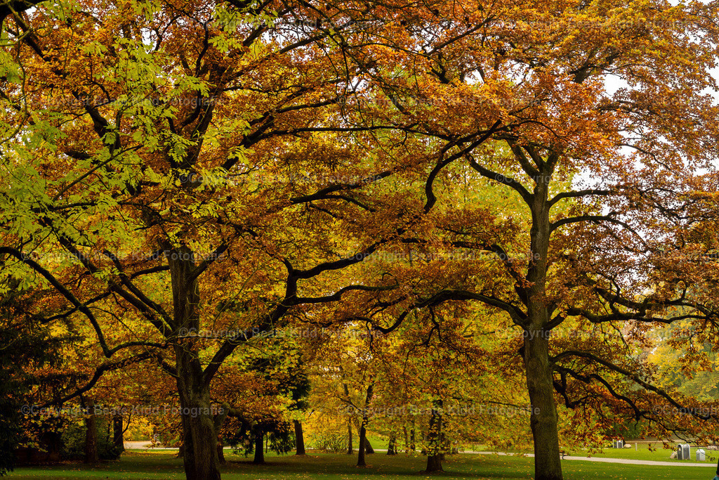 P1230961 | beatekidd-fotografie - Realisiert mit Pictrs.com