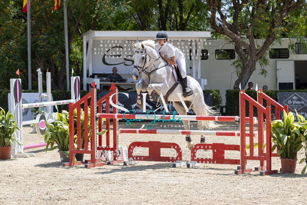 IMG_7735 | s-jay-photography - Realisiert mit Pictrs.com