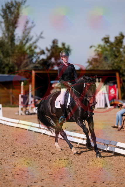 2026_10_03_Siefer-Hof_115749_Z81_98922034 | Professionelle Reitsport-, Turnier- und Eventfotografie von Robert Broda. Galerien mit ausgewählten und bearbeiteten Bildern direkt online ansehen und bestellen.