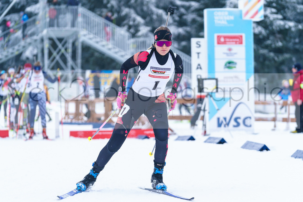 DP Oberwiesenthal | Alpencup/DP Deutschlandpokal in Oberwiesenthal am 15.-17.12.2023