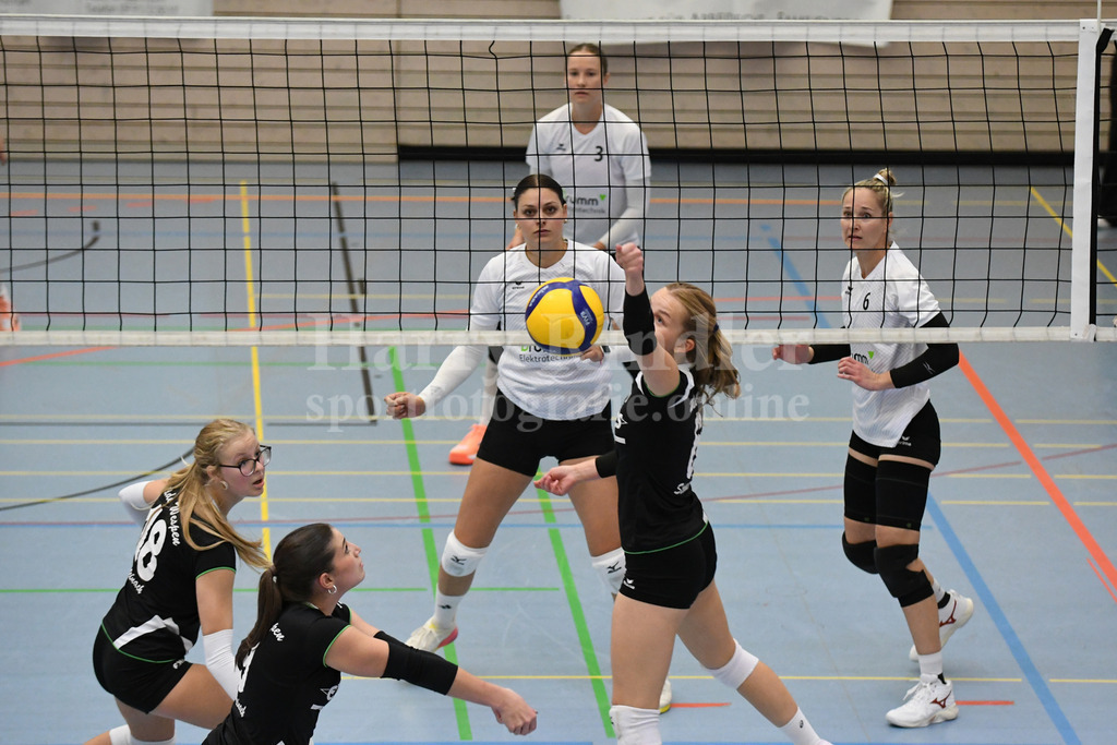 TSV Deggendorf Damen : Wilde Wespen Steinach | TSV Deggendorf Damen : Wilde Wespen Steinach - Realisiert mit Pictrs.com