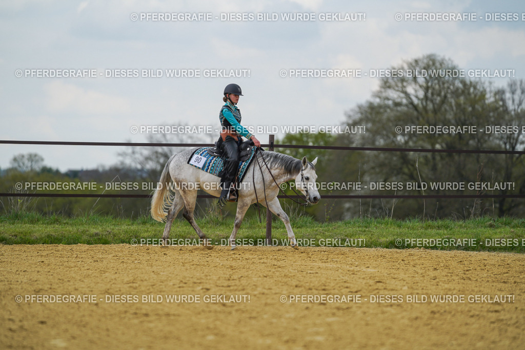 DSC06674 | Pferdegrafie