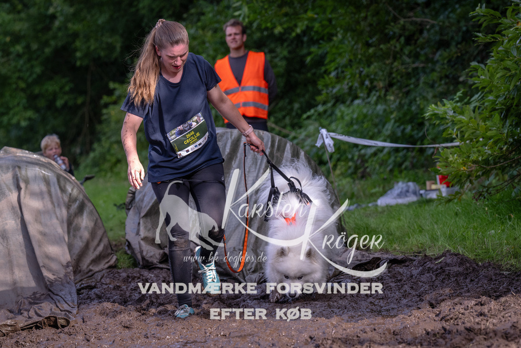 1735_ZZ92782 | kk-dogfotos