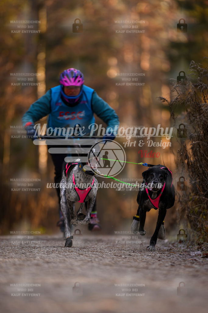 MompixPhotography_DM_AKDM_SO_2025_Scooter-23 | PayLife