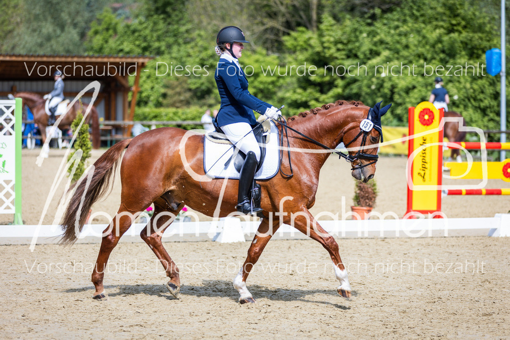 Donop24-L-Dre-004 | MomenTaufnahmen Pferdesportfotos