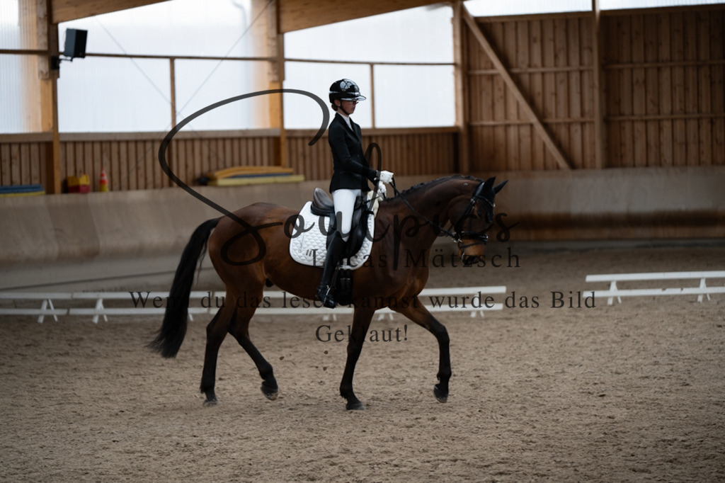 A7V09729 | Pferdefotograf