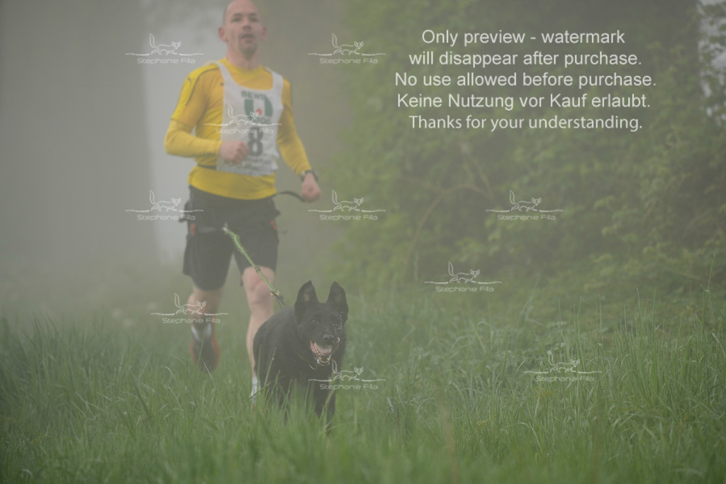 SA_GL2-41 | stephaniefillaphotographie - Realisiert mit Pictrs.com