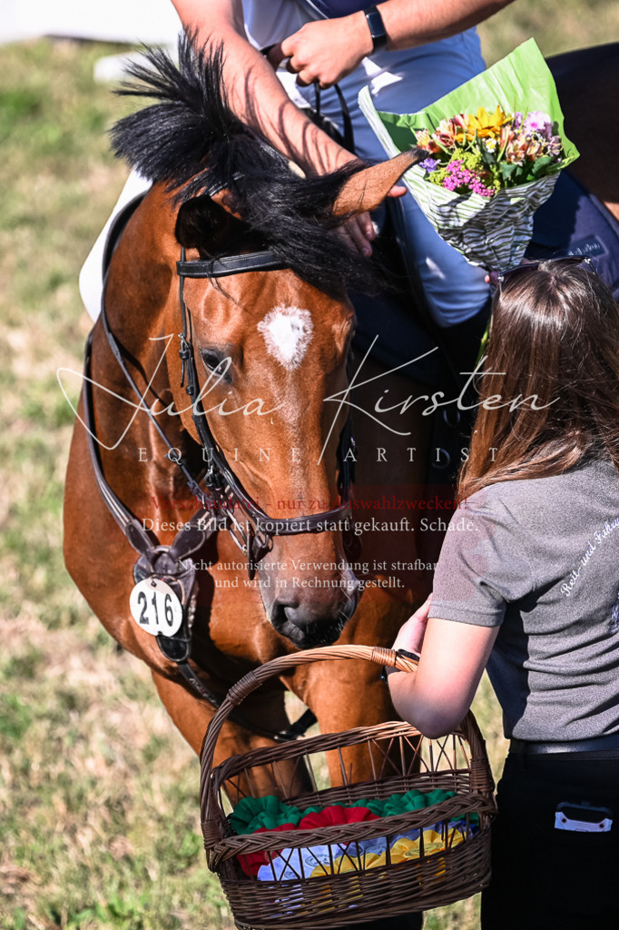 DSC_2599 | Pferde- und Turnierfotografie in Westsachsen. Pferdeportraits, Auftragszeichnungen und intuitive Kunst.