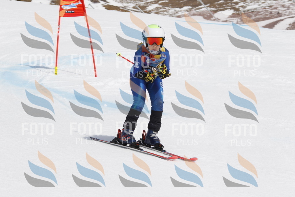 _U3G2640 | holidayphoto