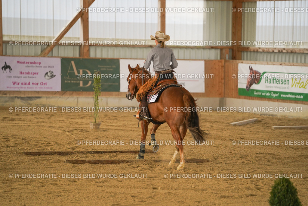 DSC04538 | Pferdegrafie