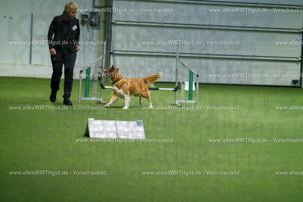 7R505496 | Professionelle Tierfotografie in Mönchengladbach von Daniel Wirth (allesWIRTHgut). Liebevolle & natürliche Bilder von Hunden & Katzen für unvergessliche Erinnerungen.