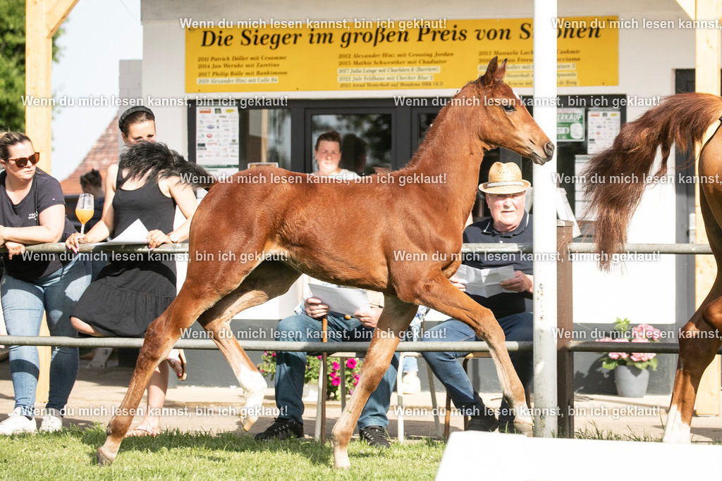 598A7052 | photographylinaismer - Realisiert mit Pictrs.com