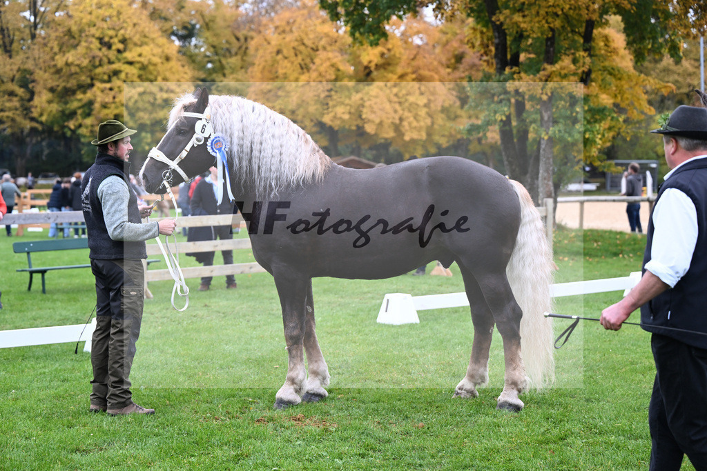 Kat-Nr. 6 Steinbach von Burggen v. Sixtus_Schleich_41250252 | hf-fotografie - Realizzato con Pictrs.com