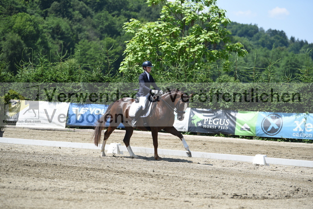 DSC_0768 | equestrian-live-com
