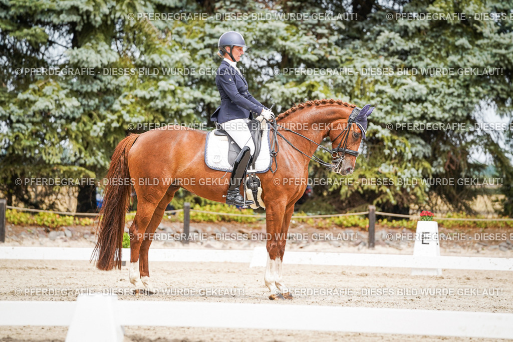 DSC05118 | Pferdegrafie