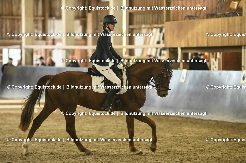 20231029_05_Dressur-A_0173 | Foto: Thomas Hartig