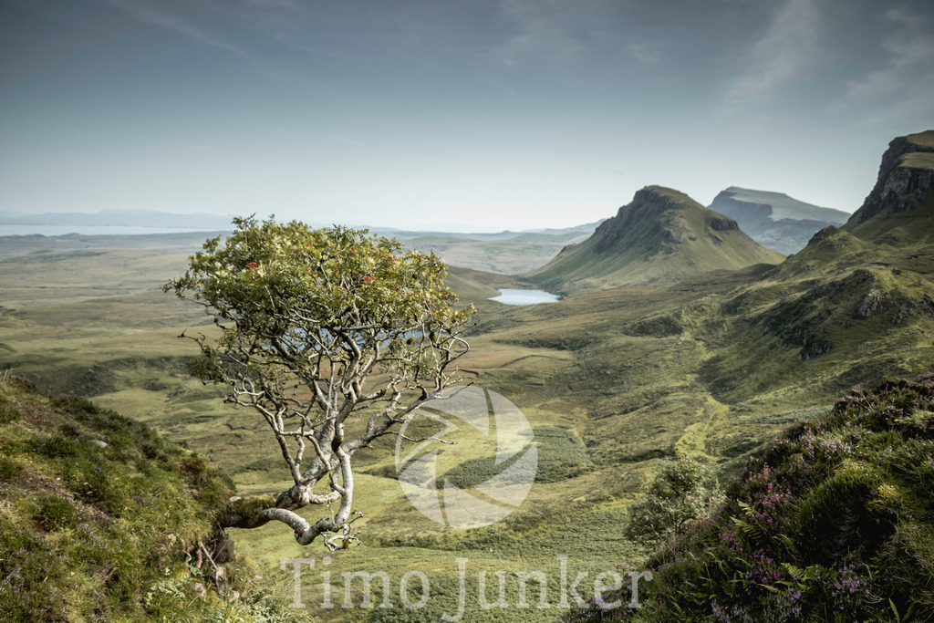 Shop_Landscapes-2061 | junker-foto - Realisiert mit Pictrs.com